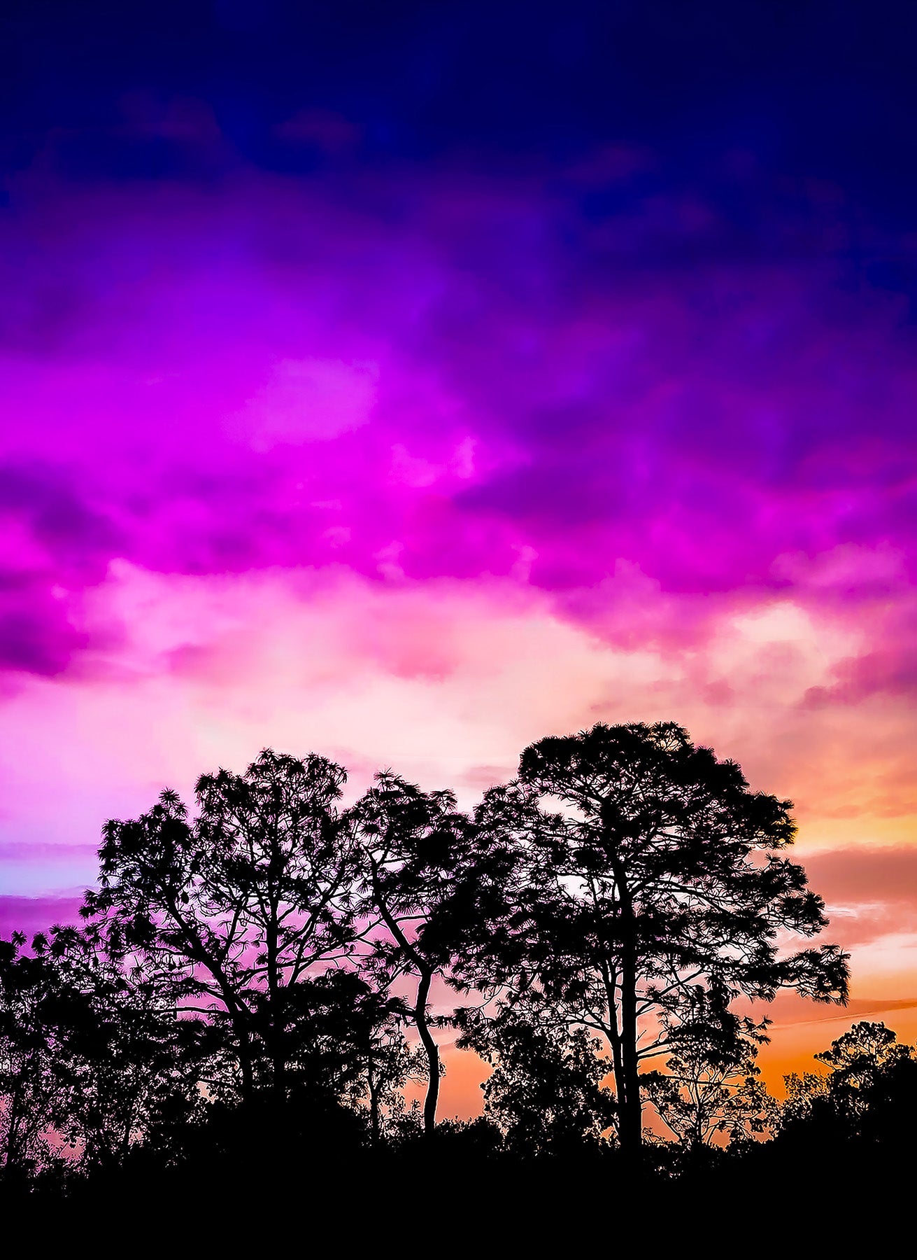 Purple Skies