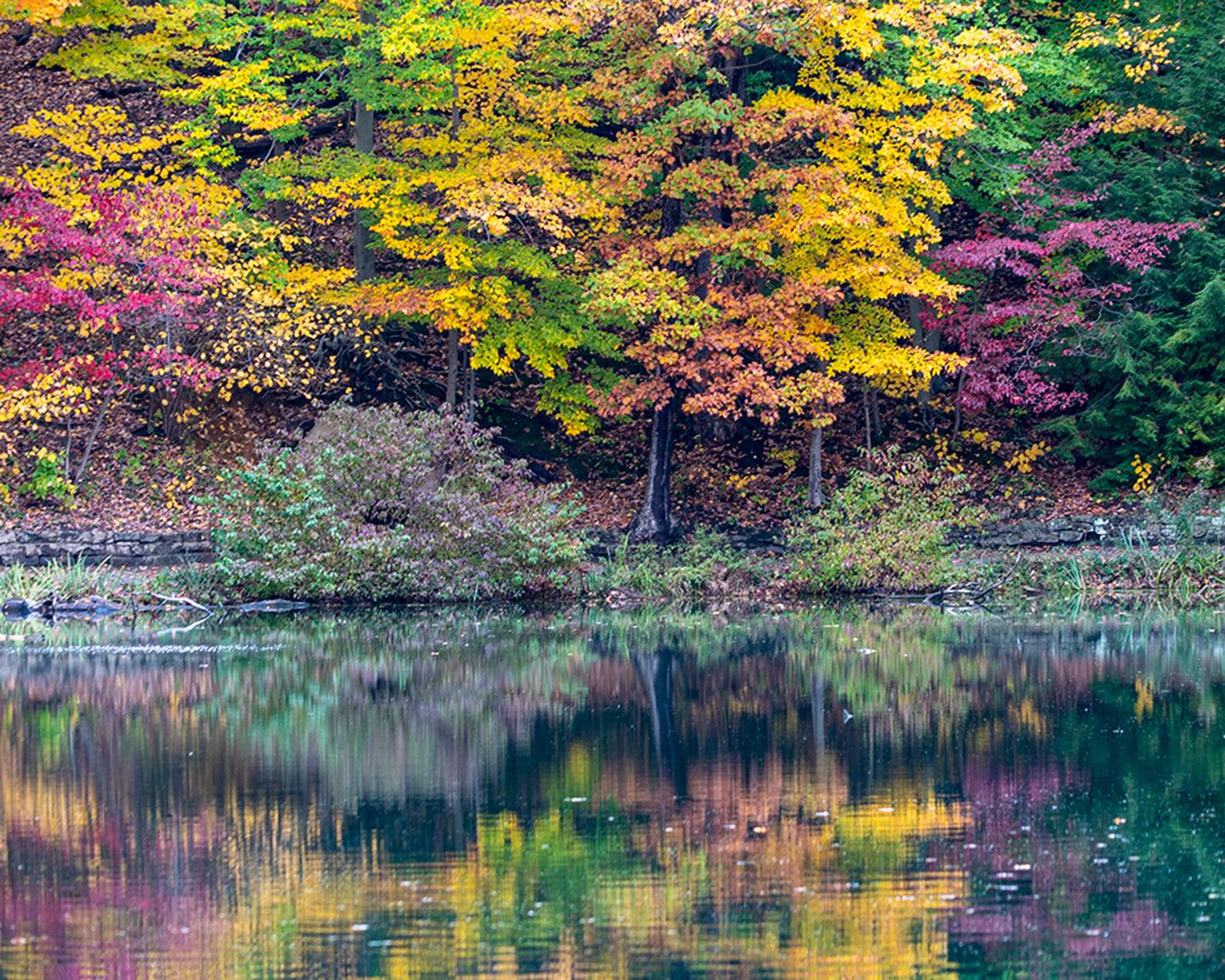 Reflections of Fall