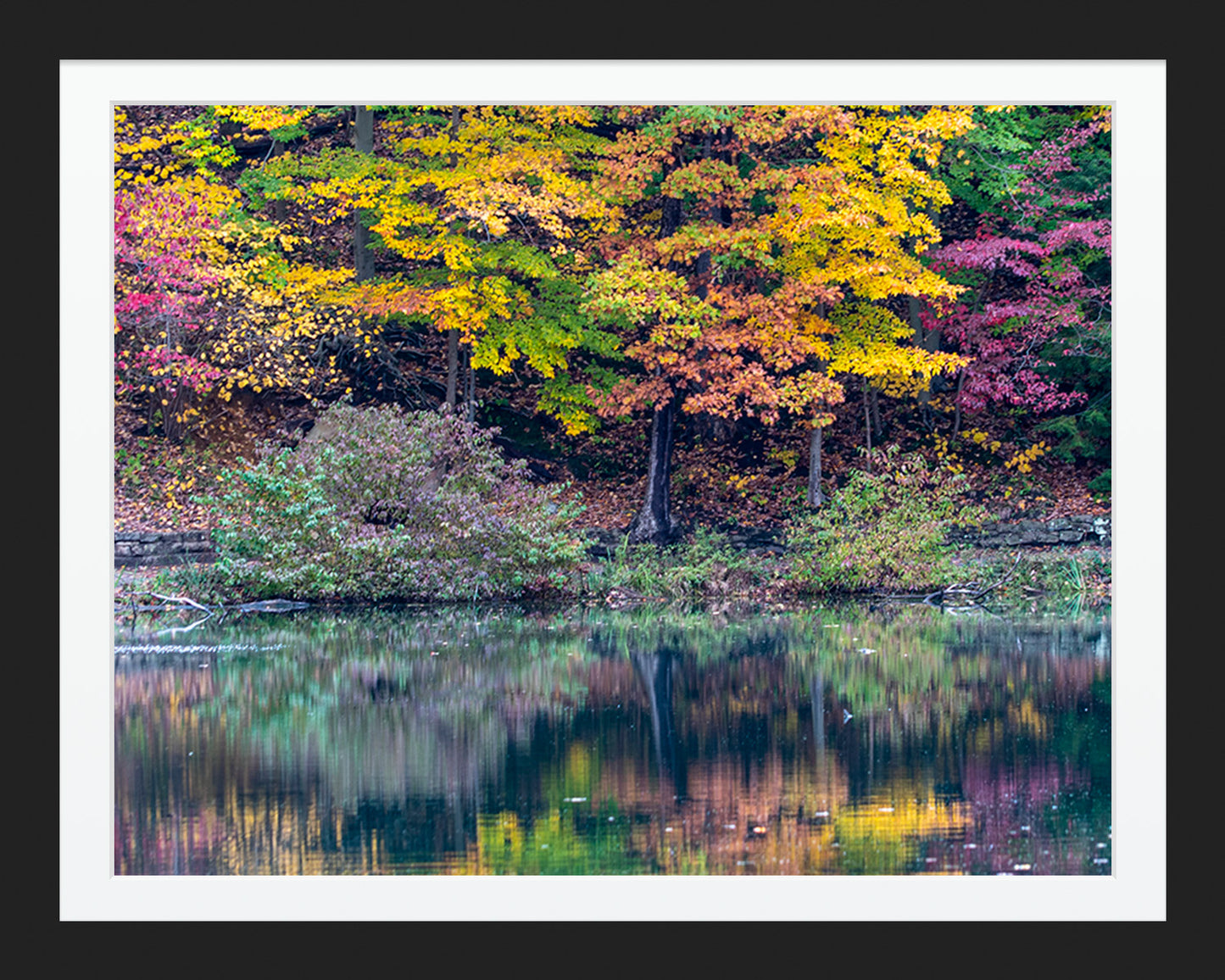 Reflections of Fall