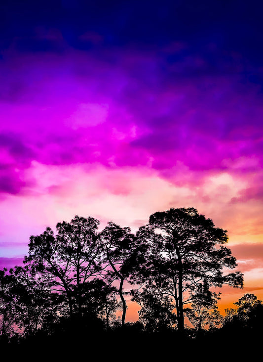 Purple Skies