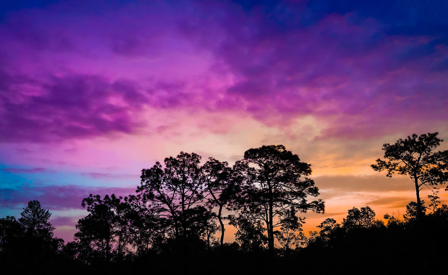 Morning Sky