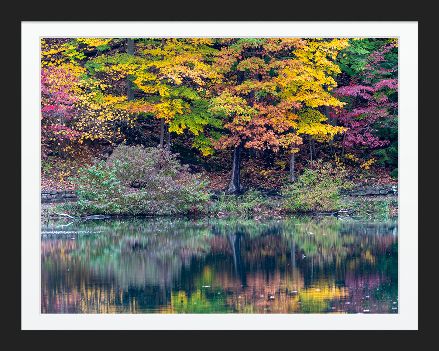 Fall Color Reflection