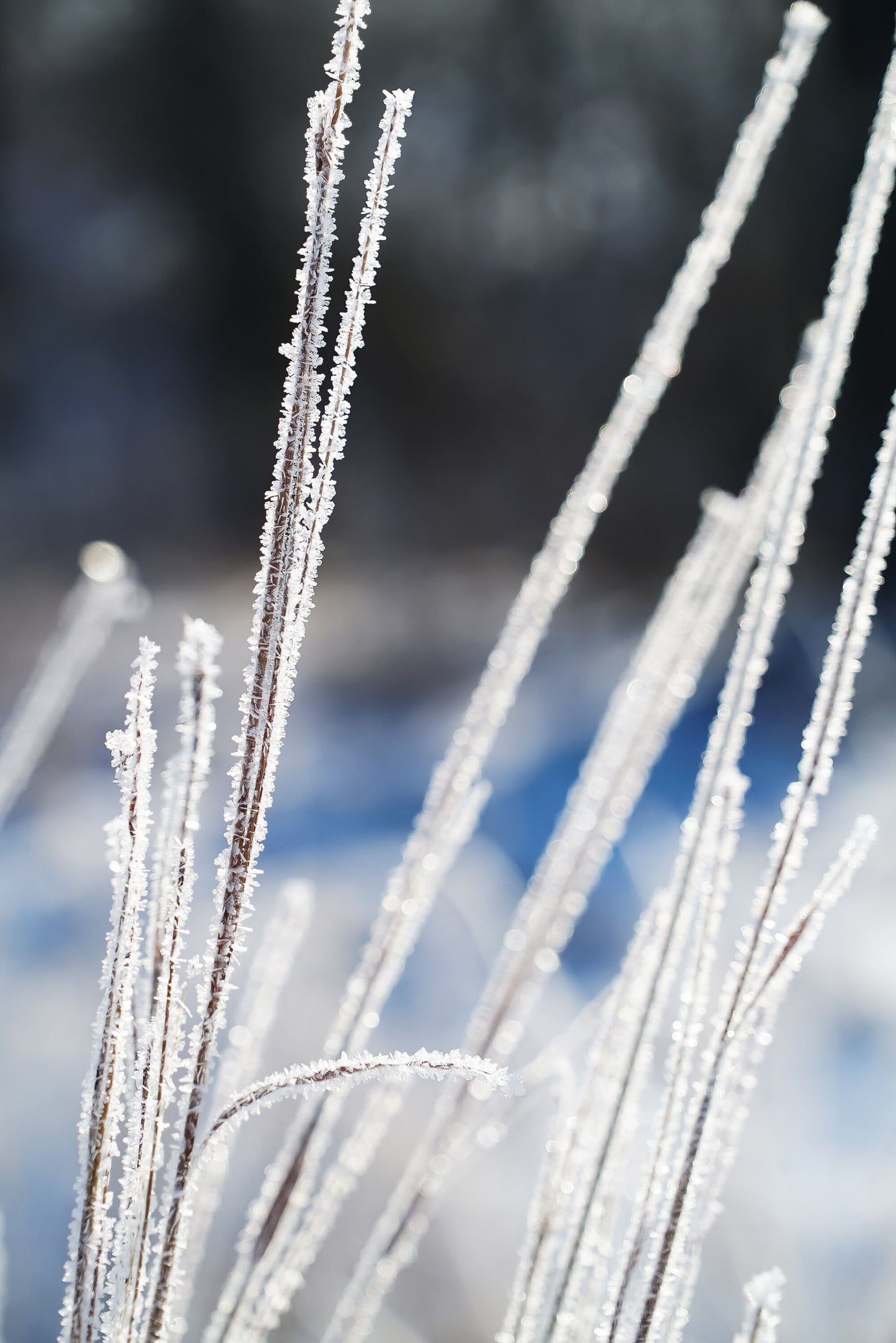 Ice Crystals