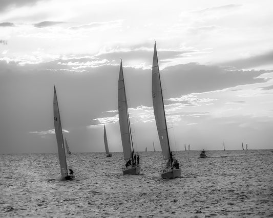 Lake Erie Sailing B/W